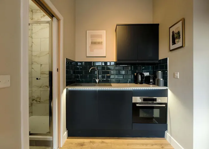 Apartment The Willow - A Bristol